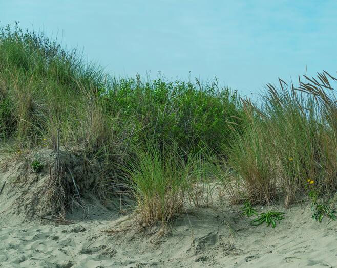 Sfeerfoto strand